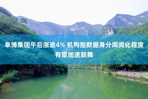 阜博集团午后涨逾4% 机构指数据身分阛阓化程度有望加速鼓舞