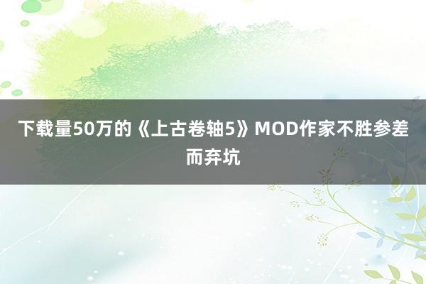 下载量50万的《上古卷轴5》MOD作家不胜参差而弃坑